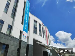 2026年SIM一年制研究生课程全解析：AI、数据科学、虚拟现实等热门方向详解